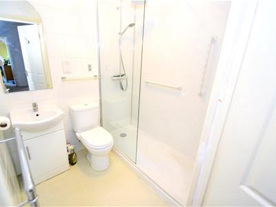 Picture 8